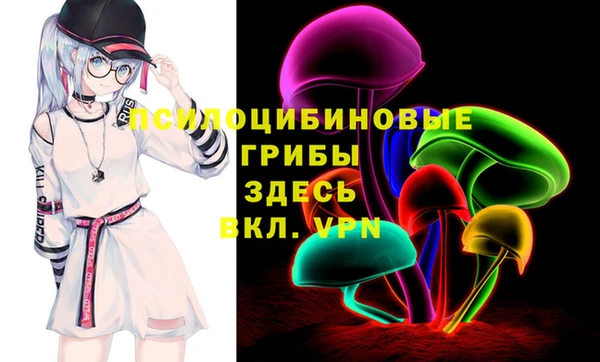 марки lsd Инта