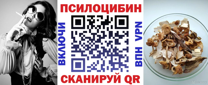 Псилоцибиновые грибы GOLDEN TEACHER  продажа наркотиков  Димитровград 
